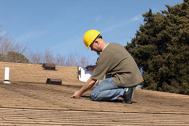 Best Skylight Installation and Repair  in Stevensville, MT