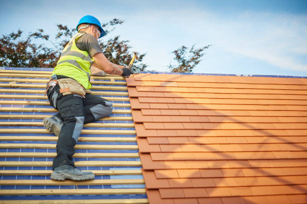 Best Emergency Roof Repair Services  in Stevensville, MT